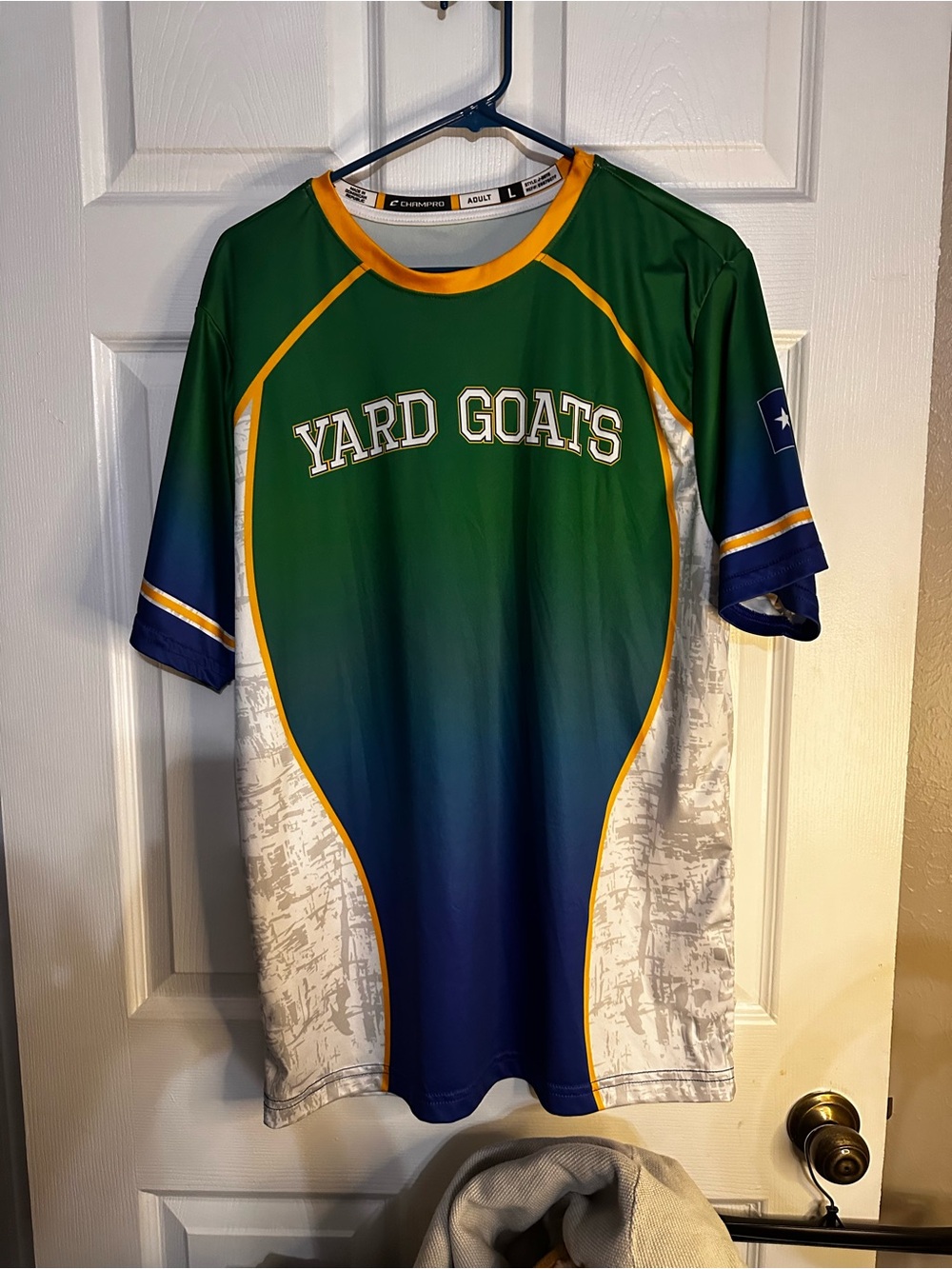 Yard Goats Green & Navy Team Game Jersey by Champion